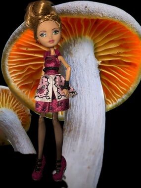 Happily Ever After First Chapter Ashlyn Ella Fashion Doll